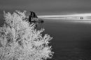 Mono Lake, Hoar Frost, Fog and Shore